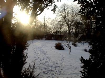 Unser Garten im Winter